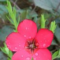 Picasa 2.7